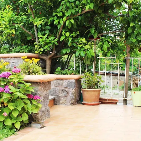 Il Melograno Apartment Ischia